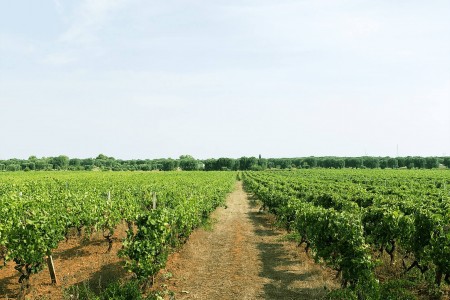 Masseria Pietrosa