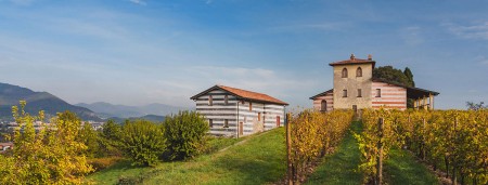 Berlucchi