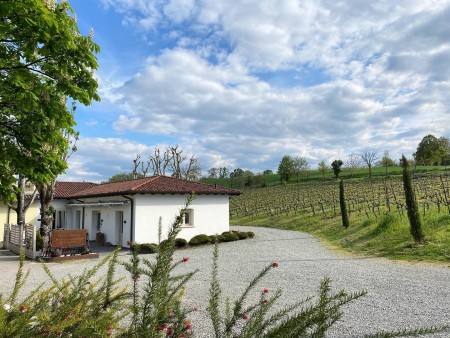 Fattoria Moretto