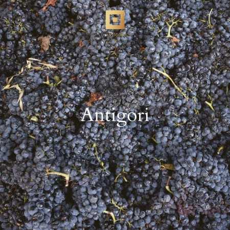 Cantine Antigori
