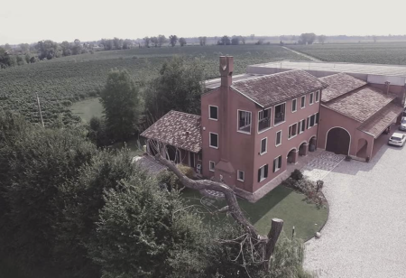 Tenuta Mosole