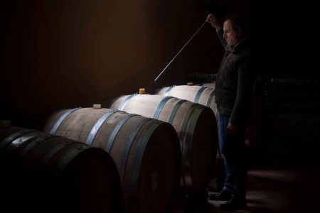Tenuta Mosole