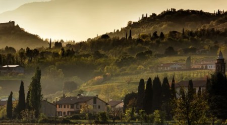 Vigna del Pendio