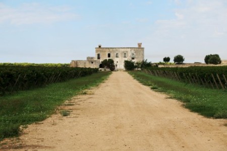 Casino Nitti