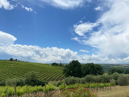 Podere Barbi
