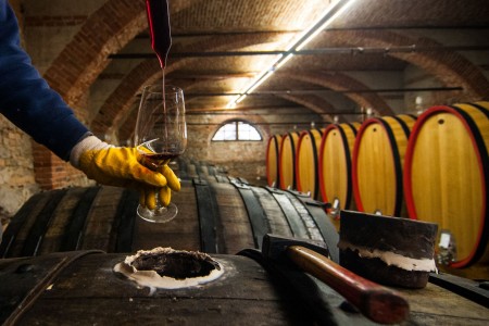 Marchesi di Barolo