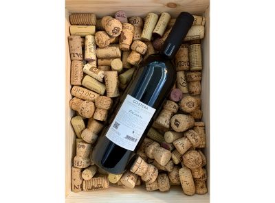 Costera Cannonau di Sardegna