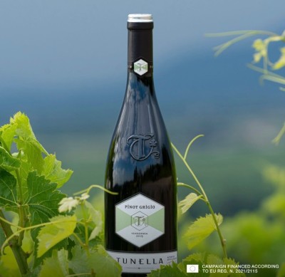 Pinot Grigio