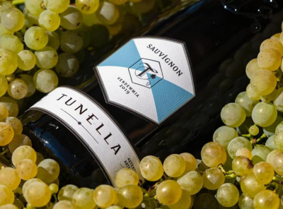 Sauvignon Blanc