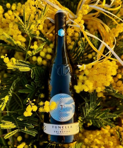 Colmatiss - Sauvignon Blanc