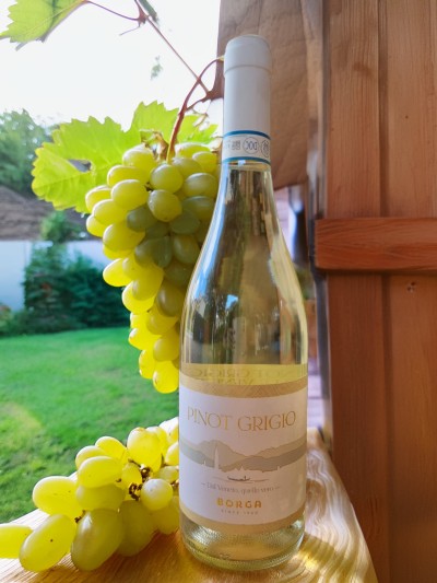 Pinot Grigio Delle Venezie