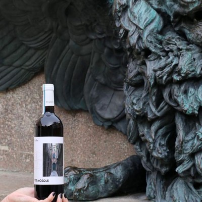 Merlot DOC