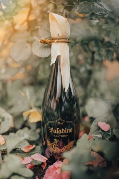 Revi Paladino Trentodoc