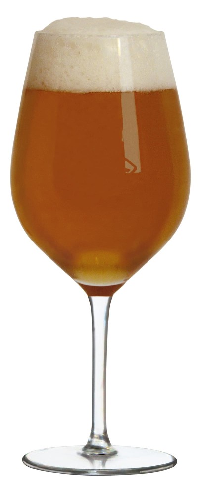 Birra Ribo 0,75 L