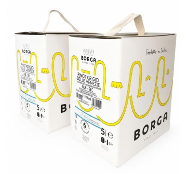 Set 2 Bag in Box Pinot Grigio Alb Sec 5 L