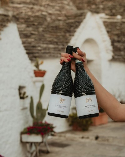 CINQUENOCI Primitivo IGP Puglia