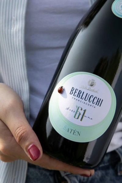 61 Franciacorta Saten - SET Spumant 0.75L si 2 pahare Flute Shop Lux