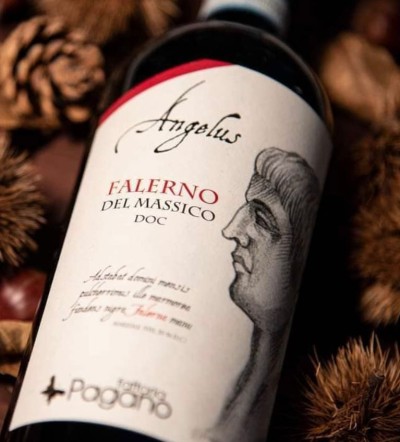 ANGELUS Falerno del Massico Rosso Riserva DOP