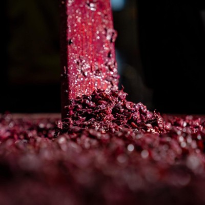 Le Prunèe - Merlot IGT