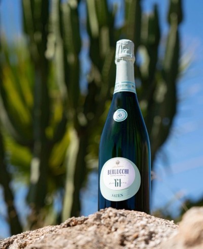61 Franciacorta Saten (cutie)