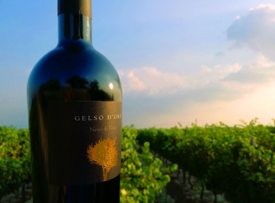 Gelso d'Oro - Nero di Troia