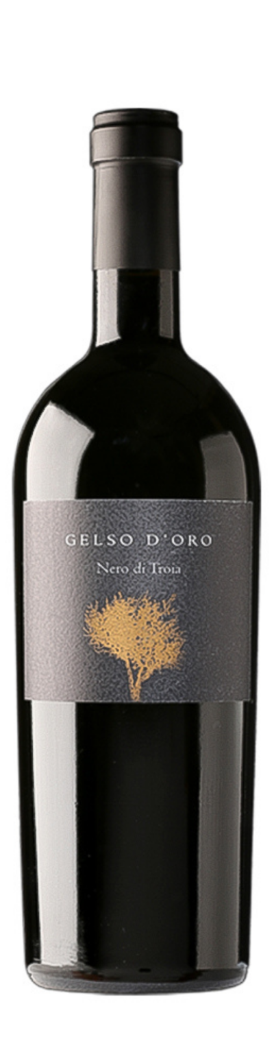 Gelso d'Oro - Nero di Troia